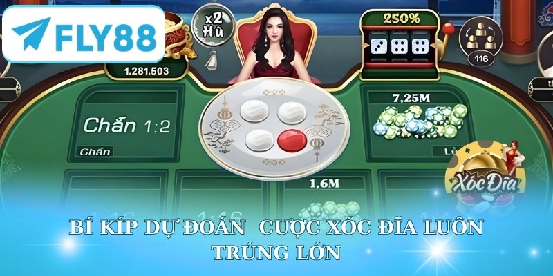 Bí kíp dự đoán của cược xóc đĩa luôn trúng lớn
