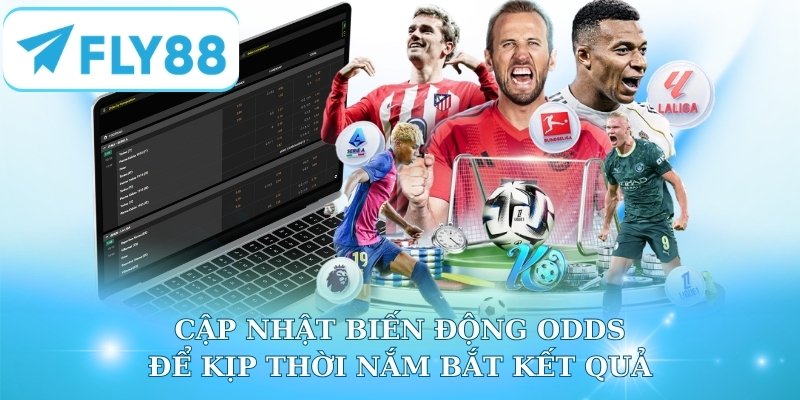 Cập nhật biến động Odds để kịp thời nắm bắt kết quả
