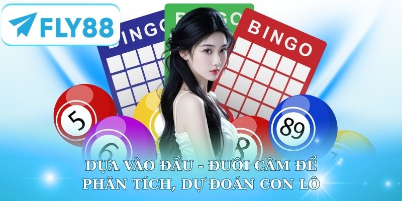 Dựa vào đầu - đuôi câm để phân tích, dự đoán con lô